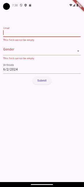 Flutter form with validation errors