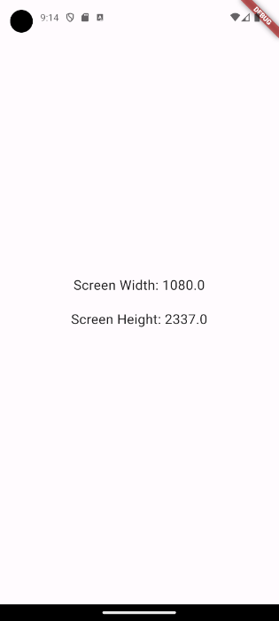 Displaying screen size in physical pixels in Flutter